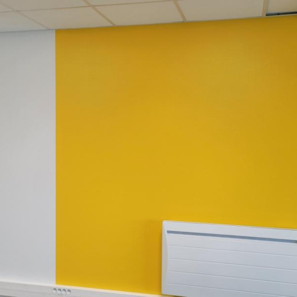 Ld Peinture Peintre Cesson Sevigne Peinture 8.JPG 1